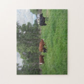 Kälber und Kühe in Weiden Puzzle (Vertikal)