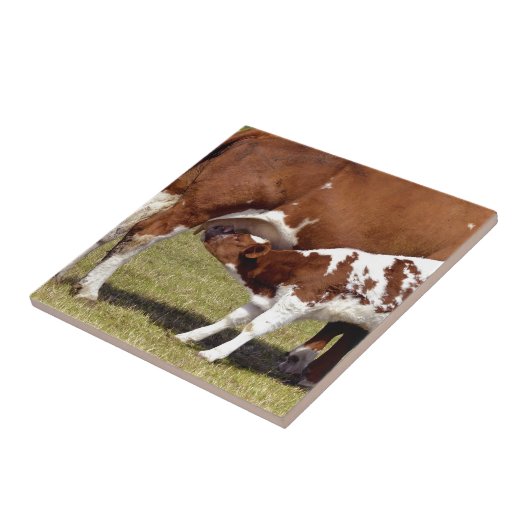 Kalbsäugling Fliese (Seite)