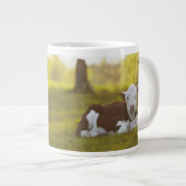 Kalbsruhe Jumbo-Tasse (Vorderseite Rechts)