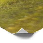 Kalbsruhen Poster (Ecke)