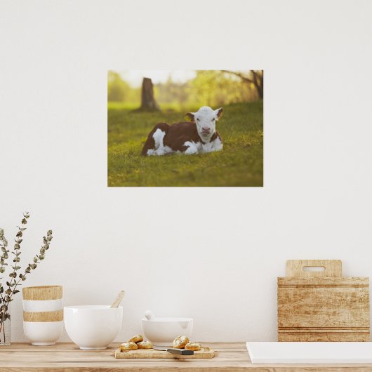 Kalbsruhen Poster (Küche)