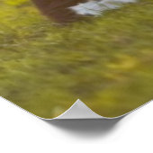 Kalbsruhen Poster (Ecke)