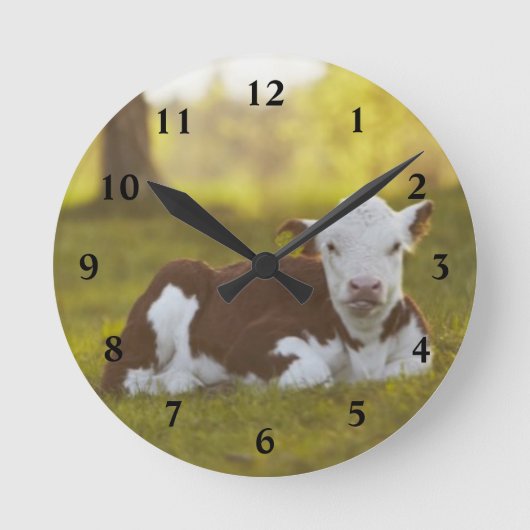 Kalbsruhen Runde Wanduhr (Vorderseite)