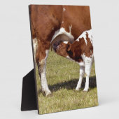 Kalbssuckling Fotoplatte (Seite)