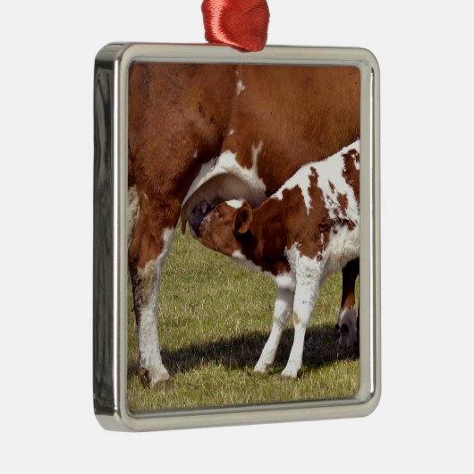 Kalbssuckling Ornament Aus Metall (Rechts)