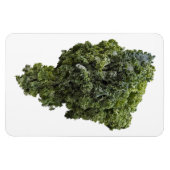Kale Foto Magnet (Horizontal)