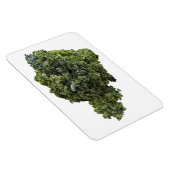 Kale Foto Magnet (Rechte Seite)