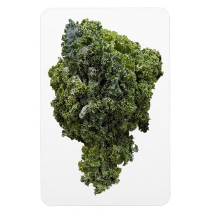 Kale Foto Magnet