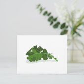 Kale Leaf Postkarte (Stehend Vorderseite)