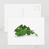 Kale Leaf Postkarte (Vorne/Hinten)