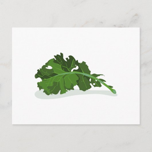Kale Leaf Postkarte (Vorderseite)