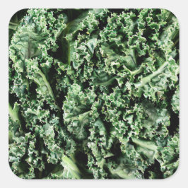 Kale Quadratischer Aufkleber