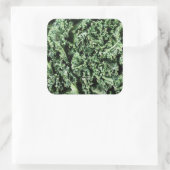 Kale Quadratischer Aufkleber (Tasche)