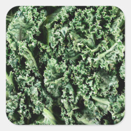 Kale Quadratischer Aufkleber