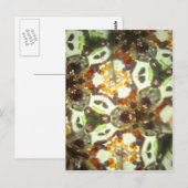 Kaleidescope 26 postkarte (Vorne/Hinten)