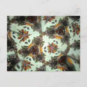 Kaleidescope 27 postkarte