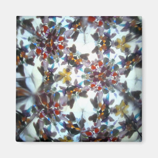 Kaleidescope 40 magnet