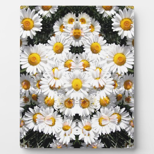 Kaleidoscope Daisies Pattern Fotoplatte (Vorderseite)