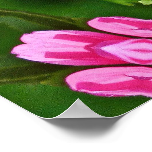 Kaleidoskop Aster Poster (Ecke)