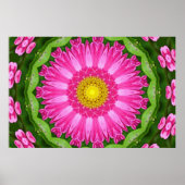 Kaleidoskop Aster Poster (Vorne)