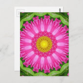 Kaleidoskop Aster Postkarte (Vorne/Hinten)