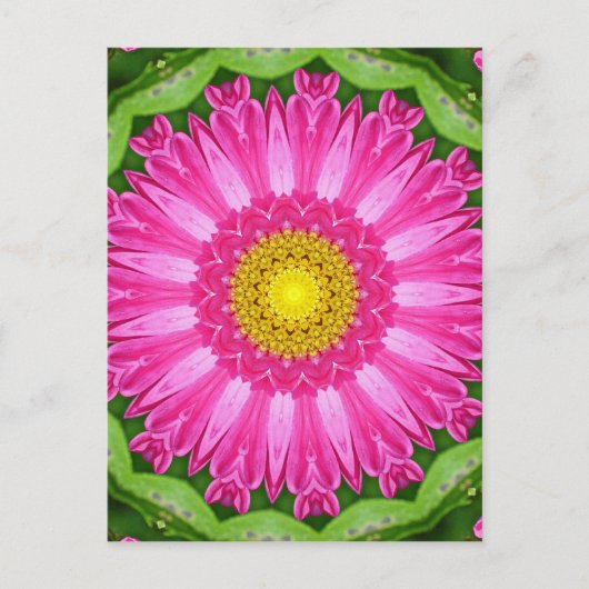 Kaleidoskop Aster Postkarte (Vorderseite)