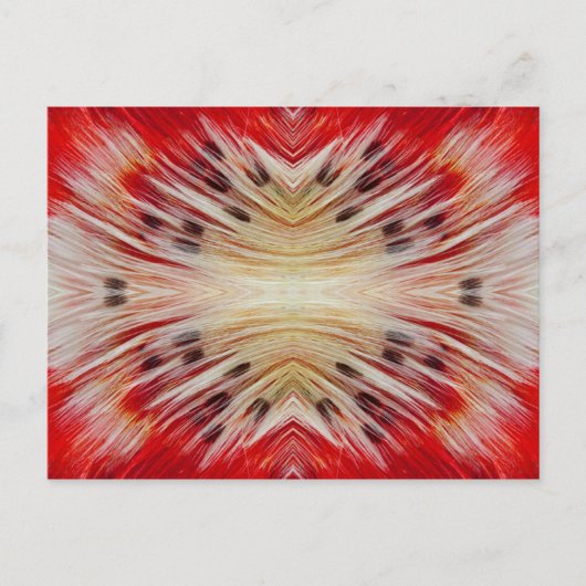 Kaleidoskop Bartett-Design Postkarte (Vorderseite)