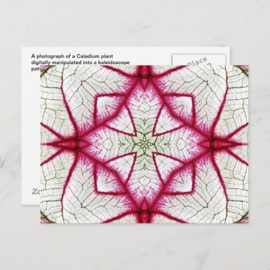 Kaleidoskop, Rot, Weiß und Grün Postkarte (Vorne/Hinten)