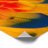 Kaleidoskop-Scarlet-Macaw-Design Poster (Ecke)