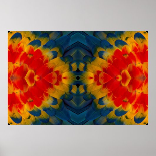 Kaleidoskop-Scarlet-Macaw-Design Poster (Vorne)