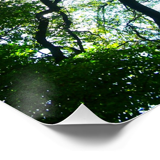 Kaleidoskop Tree Poster (Ecke)