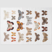 Kaleidoskop von Motten 1 Dekoupage Seidenpapier (Vorderseite)