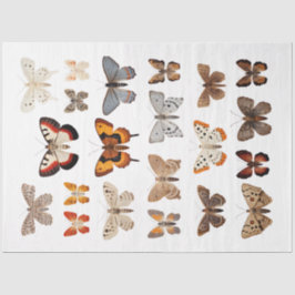 Kaleidoskop von Motten 1 Dekoupage Seidenpapier