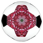 Kaleidoskopische Crimson Dahlia Fußball (Gedreht)