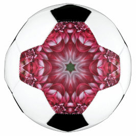 Kaleidoskopische Crimson Dahlia Fußball