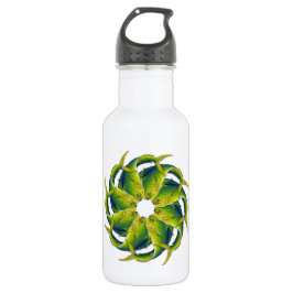 Kaleidoskopische Dolphinfish-Wasser-Flasche Edelstahlflasche