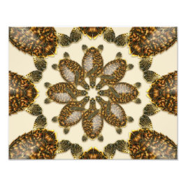 Kaleidoskopische Hawksbill Sea Turtle 14" x 11" Pr Fotodruck