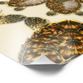 Kaleidoskopische Hawksbill Sea Turtle 14" x 11" Pr Fotodruck (Ecke)