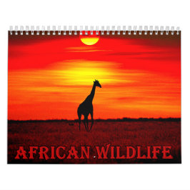 Kalendar afrikanische Wildtiere Kalender