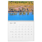 Kalendar afrikanische Wildtiere Kalender (Mär 2027)