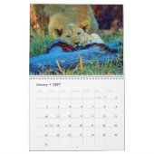 Kalendar afrikanische Wildtiere Kalender (Jan 2027)