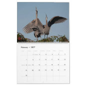 Kalendar der Balzrituale des Graureihers Kalender (Feb 2027)