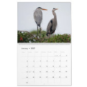 Kalendar der Balzrituale des Graureihers Kalender (Jan 2027)