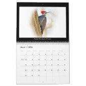 Kalendar Favorite Hinterhofvögel Kalender (Mär 2026)