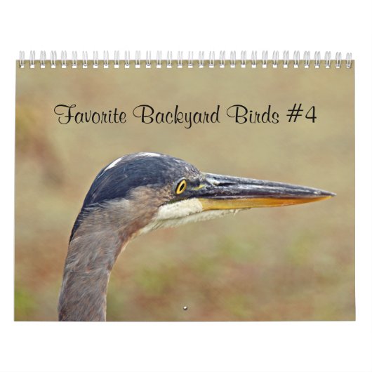 Kalendar Favorite Hinterhofvögel Kalender (Titelbild)