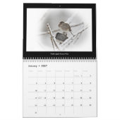 Kalendar Favorite Hinterhofvögel Kalender (Jan 2027)