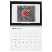Kalendar Favorite Hinterhofvögel Kalender (Feb 2027)