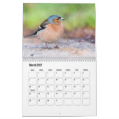 Kalendar für kleine Vögel Kalender (Mär 2027)