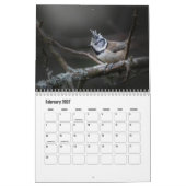 Kalendar für kleine Vögel Kalender (Feb 2027)