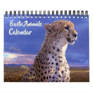 Kalendar mit exotischen Tieren in kleinem Format Kalender